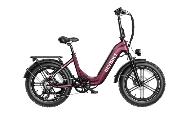 Ranger S Powerful folding ebike with fat tires for versatile usages